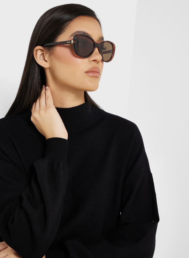 Polaroid Wayfarers Sunglasses - Image 4