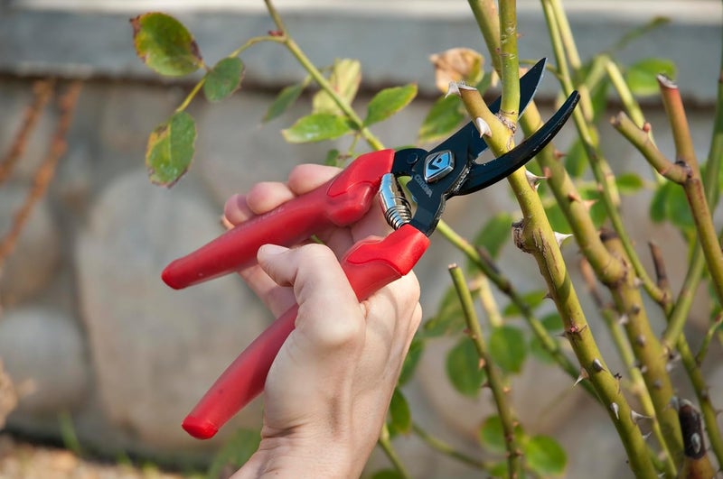 Corona BP 3214D ComfortGEL Bypass Hand Pruner, 3/4-inch cut, Red - Image 1