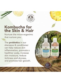 Pure, Sensitive Skin Shampoo & Conditioner Raw Probiotic Plant Formula (pH Balanced) for Sensitive Skin & Dry Hair - (9 Oz. Bottles) (Original, 2-Pack)