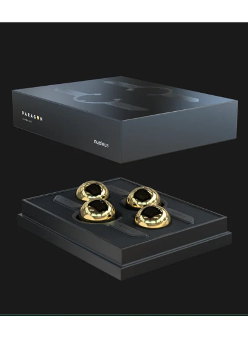 nucleus Paragon Espresso Set, for Rapid Cooling of the Extraction, Richer Flavours and Aromas - 2 Mounts, 4 Chilling Rocks - Image 2