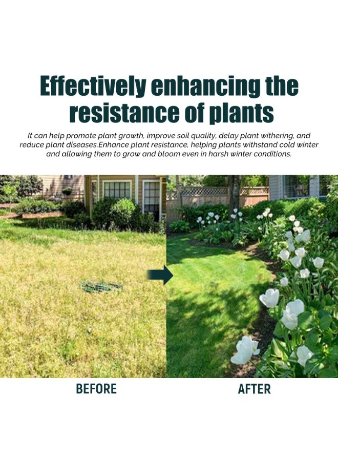 ييبونغ محلول مغذي للنباتات، منشط التربة، محلول مغذي لنمو الأوراق الخضراء - Image 3