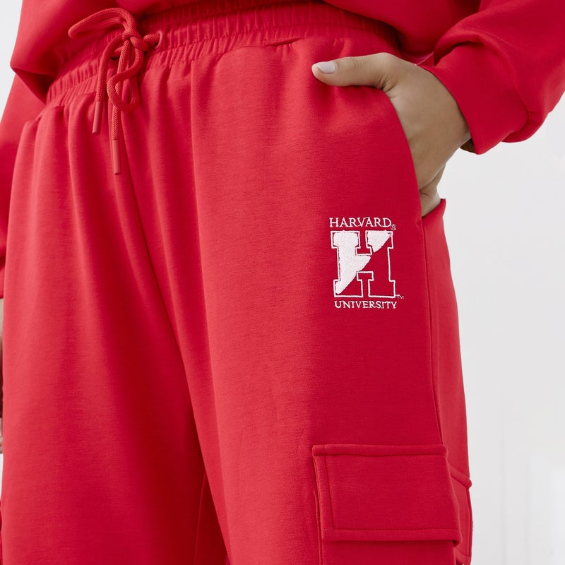 SP Characters Harvard University Print Cargo Joggers with Drawstring Closure - Image 4