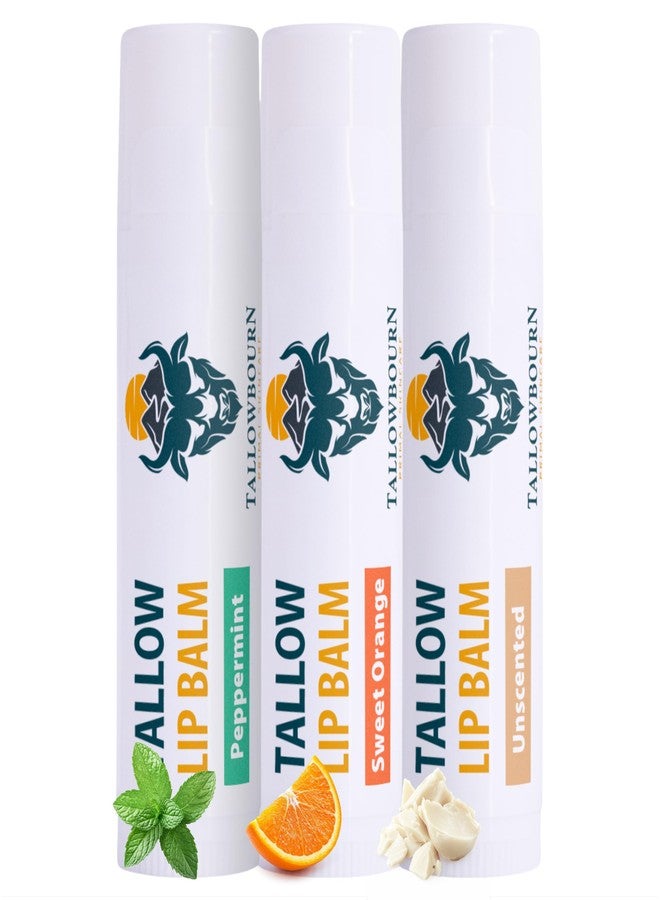 Tallowbourn Moisturizing Tallow Lip Balm – Grass-Fed Beef Tallow with Organic Coconut Oil, Beeswax, and Vitamin E – Lip Balm Set – Variety Pack – Travel Essential – 3-Pack - Image 1