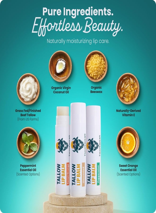 Tallowbourn Moisturizing Tallow Lip Balm – Grass-Fed Beef Tallow with Organic Coconut Oil, Beeswax, and Vitamin E – Lip Balm Set – Variety Pack – Travel Essential – 3-Pack - Image 4