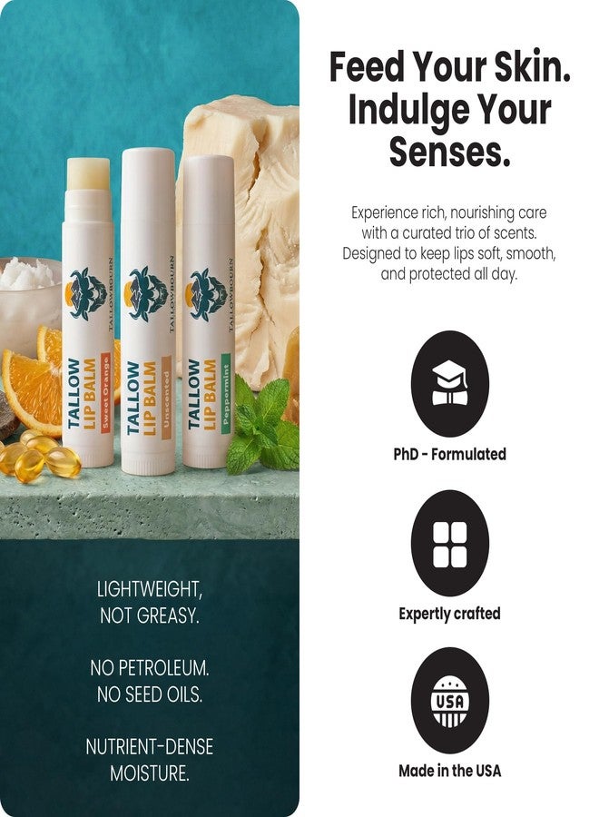 Tallowbourn Moisturizing Tallow Lip Balm – Grass-Fed Beef Tallow with Organic Coconut Oil, Beeswax, and Vitamin E – Lip Balm Set – Variety Pack – Travel Essential – 3-Pack - Image 2