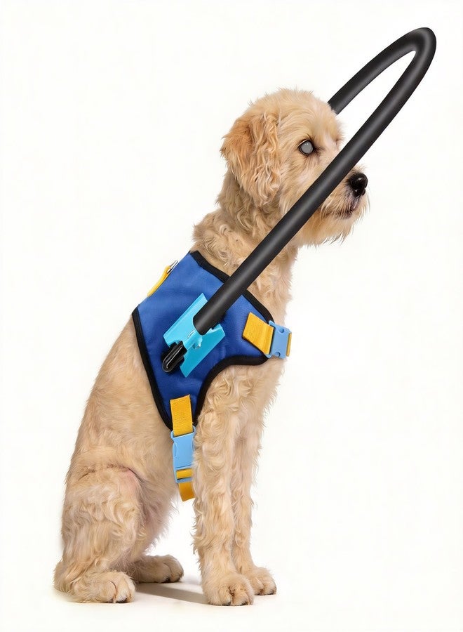 LetPetRun Protective Blind Dog Halo Harness,Anti-Collision Halo Collar for Blind Dogs, Adjustable Guiding Harness for Blind Pets, Confidence Building Walking Aid, Lightweight (S for 21.65-25.59 in) - Image 1
