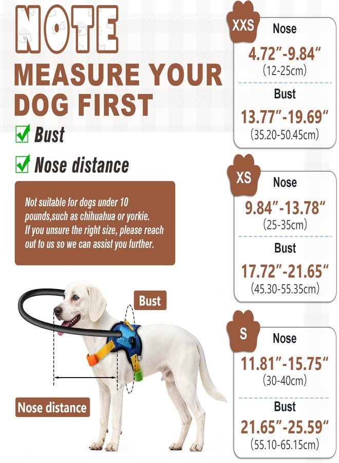LetPetRun Protective Blind Dog Halo Harness,Anti-Collision Halo Collar for Blind Dogs, Adjustable Guiding Harness for Blind Pets, Confidence Building Walking Aid, Lightweight (S for 21.65-25.59 in) - Image 2