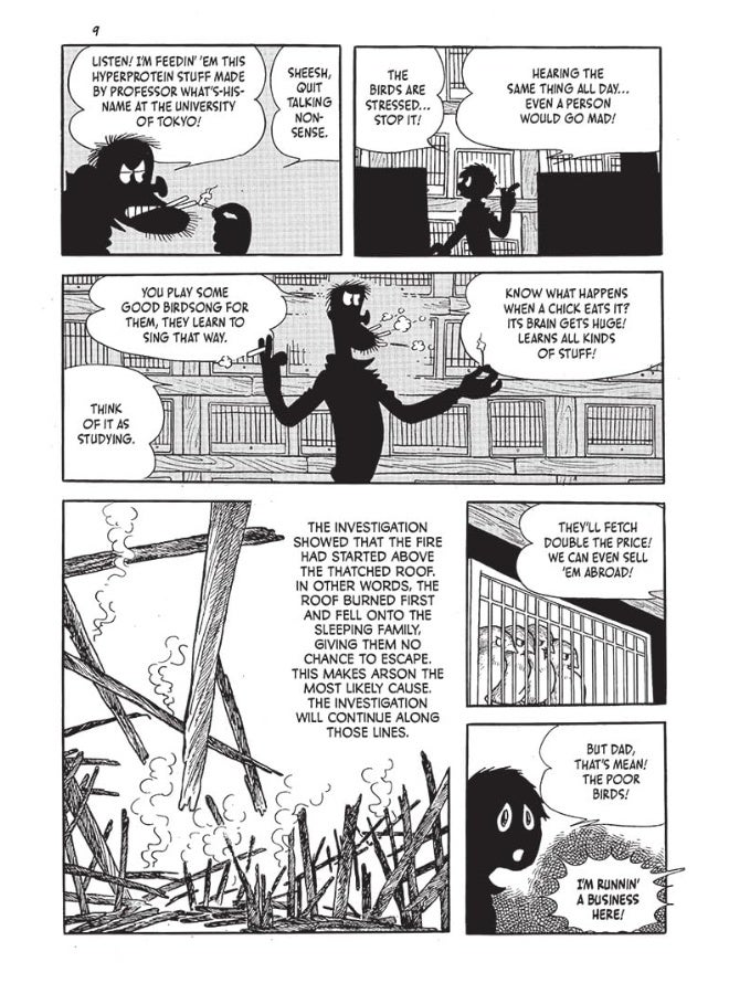 Tomorrow The Birds - Image 4