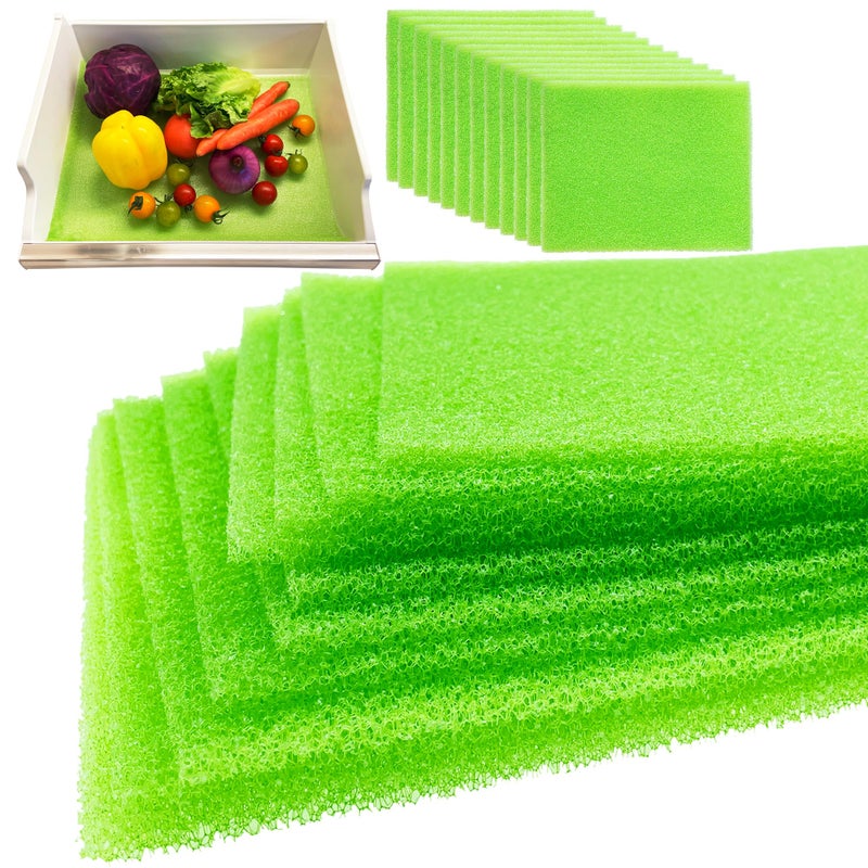 ShuRex 12-Pack Vegetable and Fruit Life Extender Fridge Shelf Sponge Liner, 12"x15" Cuttable, Washable, & Reusable Refrigerator Mat, Ventilation to Keep Produce Fresh Longer Prevents Spoilage - Image 1