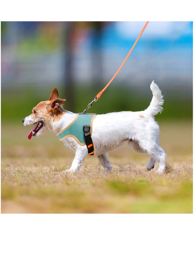 واي آند دي Pet Harness and Lead Set for Walking, Adjustable Soft Reflective Strip Faux Suede Escape Vest Leash Cat Kitten Walking with Cats Small Dogs Orange Lake Blue, L - Image 4