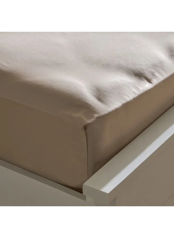 Home Box Opulent Luxe Solid Cotton Queen Fitted Sheet 150 x 200 x 40 cm
