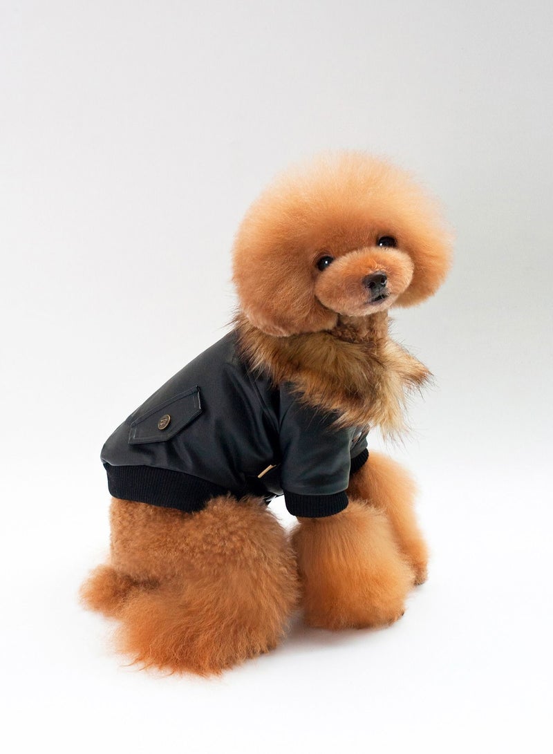 Loquat Pet British dog fur coat Black  - Image 1