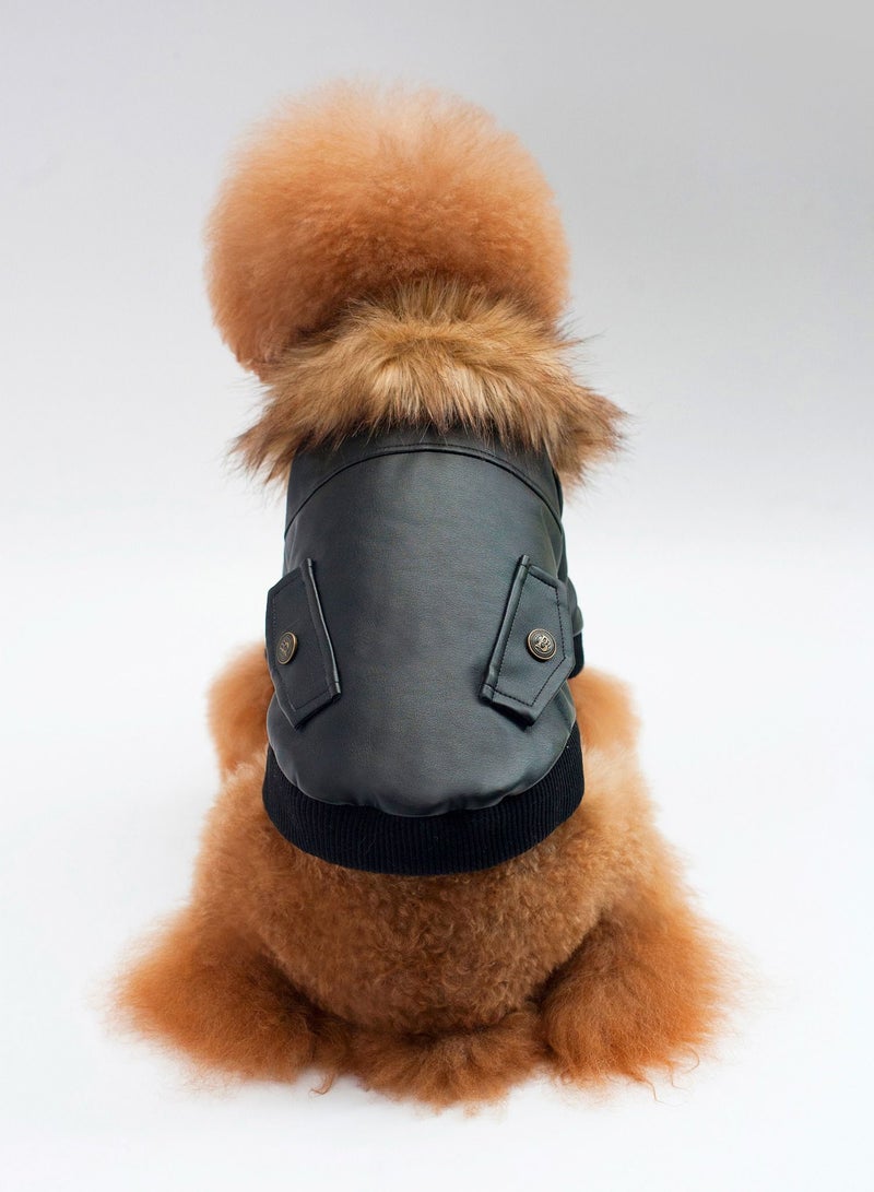 Loquat Pet British dog fur coat Black  - Image 2