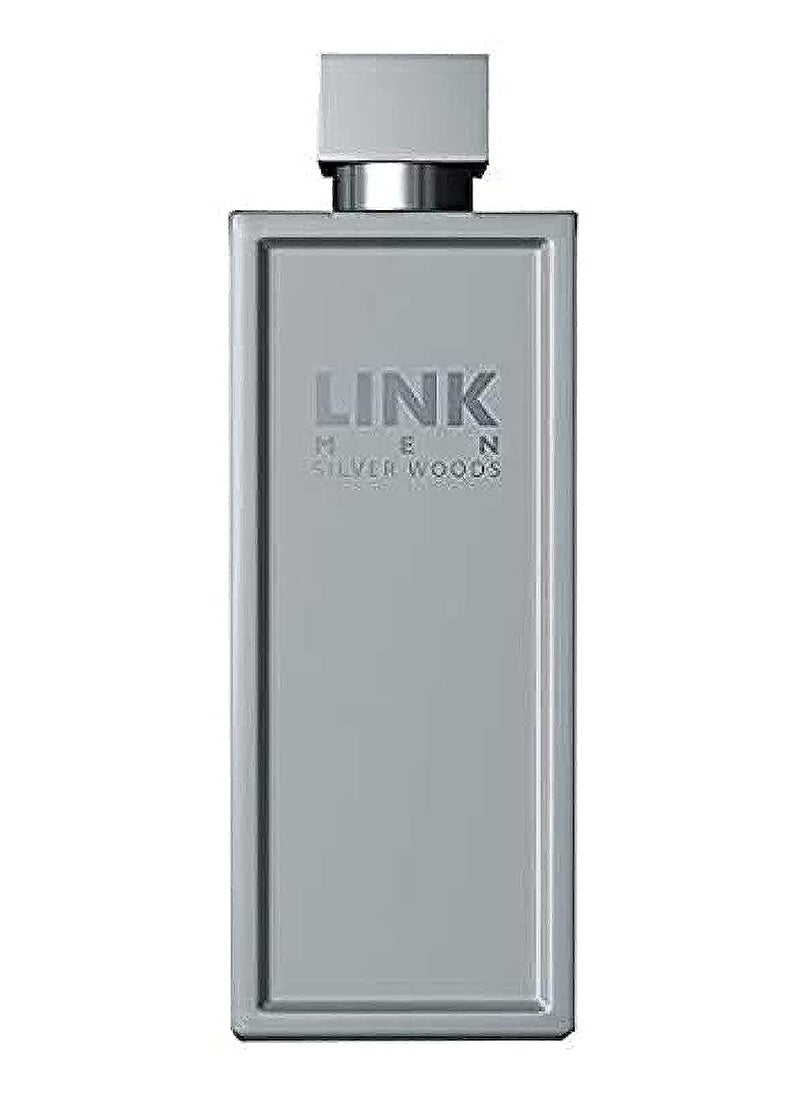 Link Silver Woods EDT 100ml 