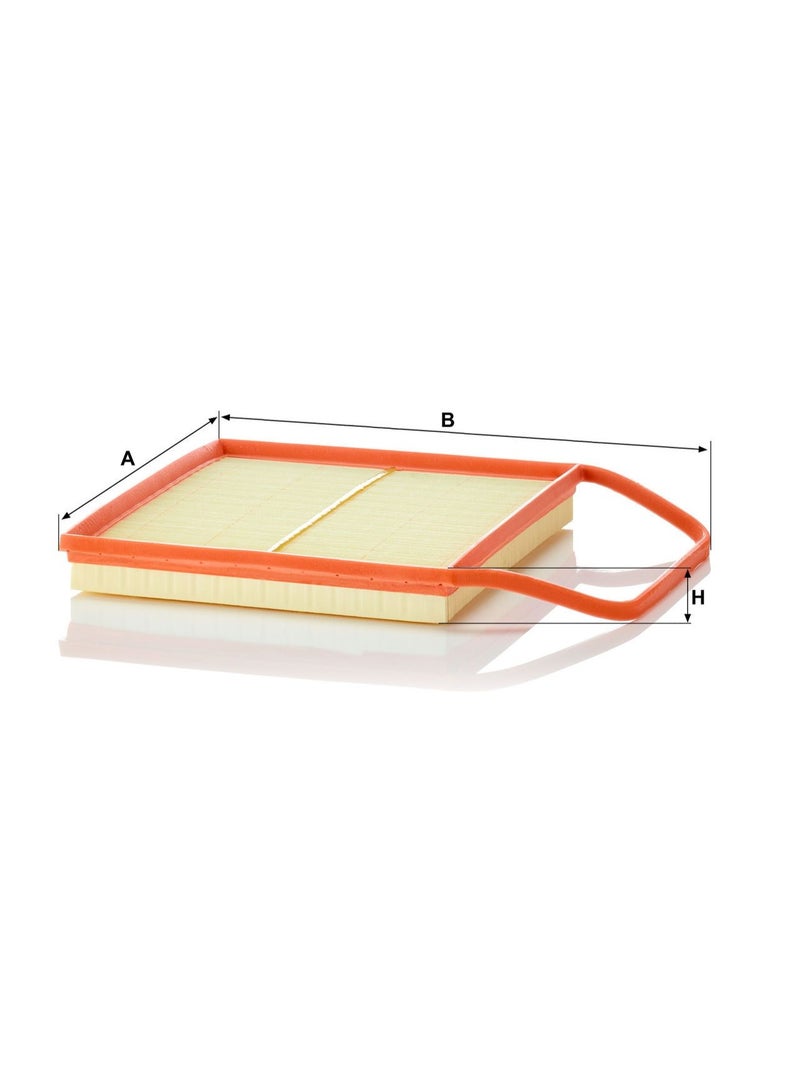 MANN FILTER AirFilter-  C36004 - Image 1
