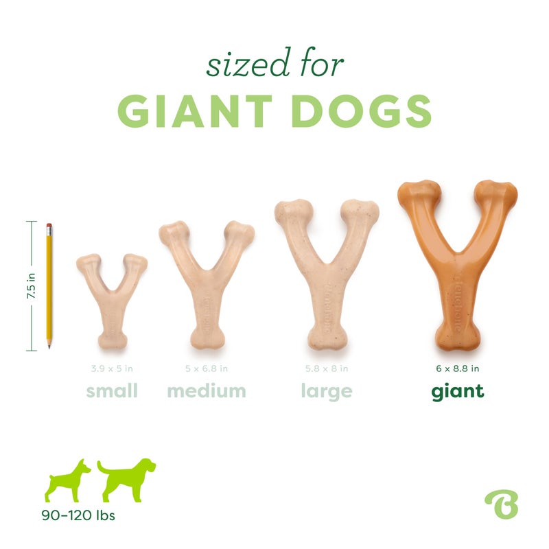 Benebone Wishbone Durable Dog Chew Toy for Aggressive Chewers, Real Chicken, Made in USA, Giant - Image 4