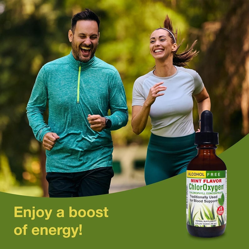 HERBS ETC. Chloroxygen Mint Chlorophyll Concentrate - Herbal Supplement for Blood Support (2oz) - Image 4