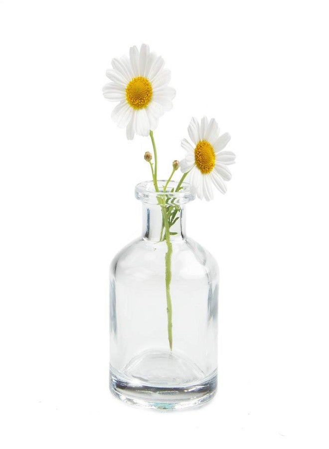 CHIVE ‘Loft’ Small Mini Flower Vases - Clear Glass Bud Vases, Set of 10 - Cute Vintage Rustic Centerpieces for Wedding, Events & Home - Premium Quality, Designed to Last - Image 5