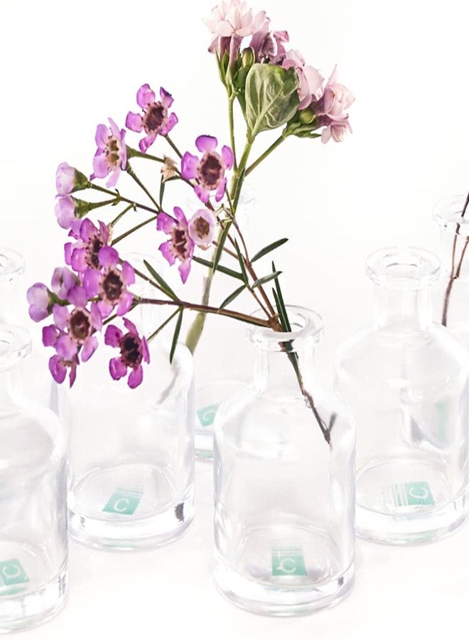 CHIVE ‘Loft’ Small Mini Flower Vases - Clear Glass Bud Vases, Set of 10 - Cute Vintage Rustic Centerpieces for Wedding, Events & Home - Premium Quality, Designed to Last - Image 4