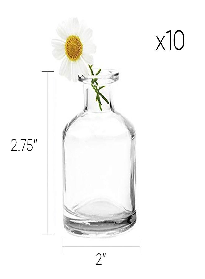 CHIVE ‘Loft’ Small Mini Flower Vases - Clear Glass Bud Vases, Set of 10 - Cute Vintage Rustic Centerpieces for Wedding, Events & Home - Premium Quality, Designed to Last - Image 2