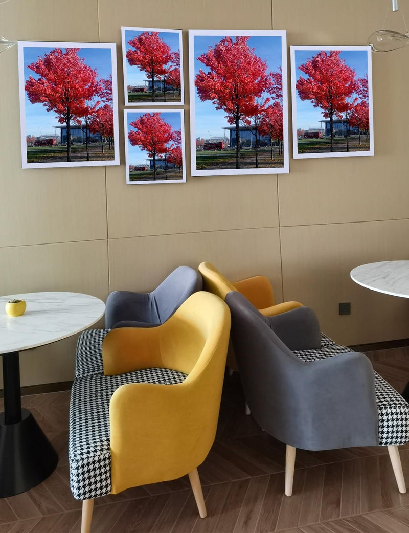 Medog 12x16 Picture Frame Display Pictures 12x16 White Poster Frame Display Photos 12"x16" Wall Gallery Photo Frames Office Picture Frame,Cream White, 1Pack (FP0J1Z) - Image 3