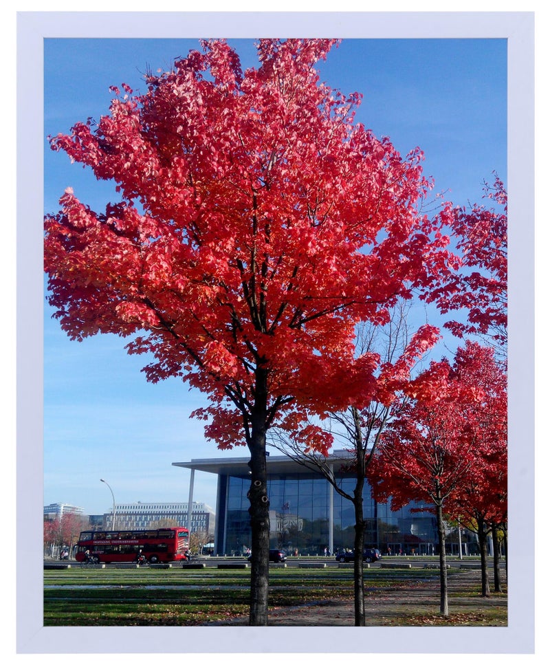 Medog 12x16 Picture Frame Display Pictures 12x16 White Poster Frame Display Photos 12"x16" Wall Gallery Photo Frames Office Picture Frame,Cream White, 1Pack (FP0J1Z) - Image 1