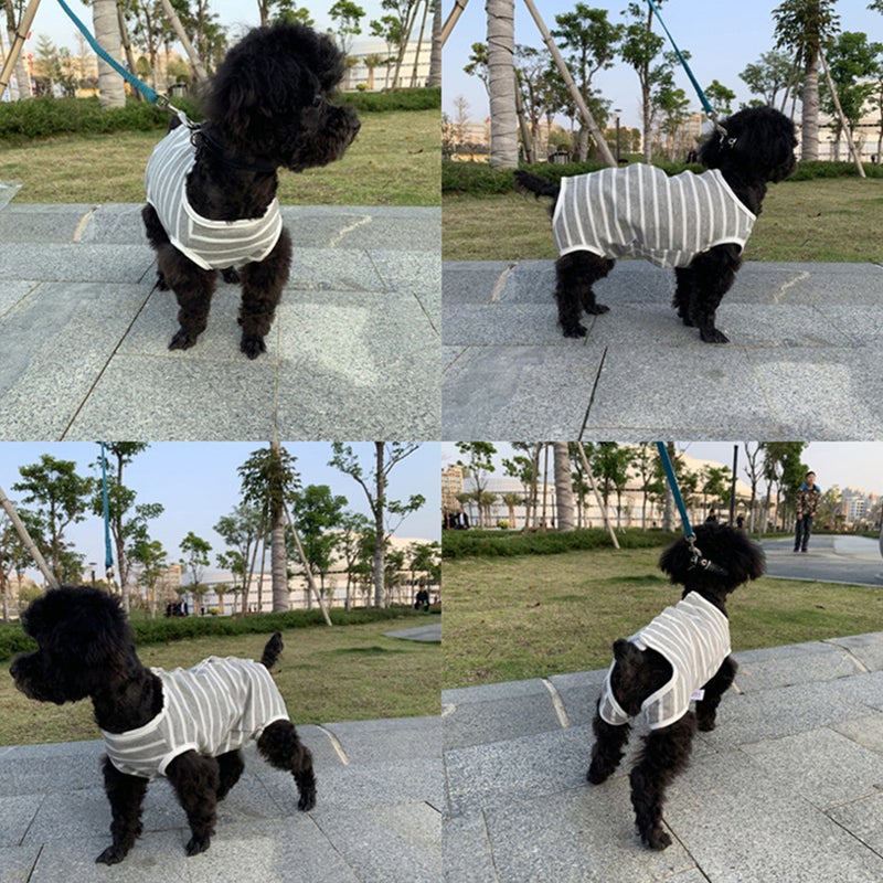 2pcs Cotton Dog Anti-licking Four-legged Dog Recovery Clothes Pet Suit - Image 2