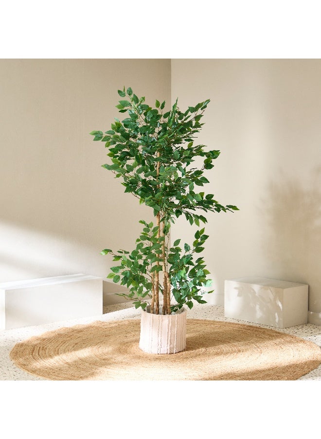 Home Box Teodora Artificial Double Trunk Ficus Tree - 170 cm  - Image 1