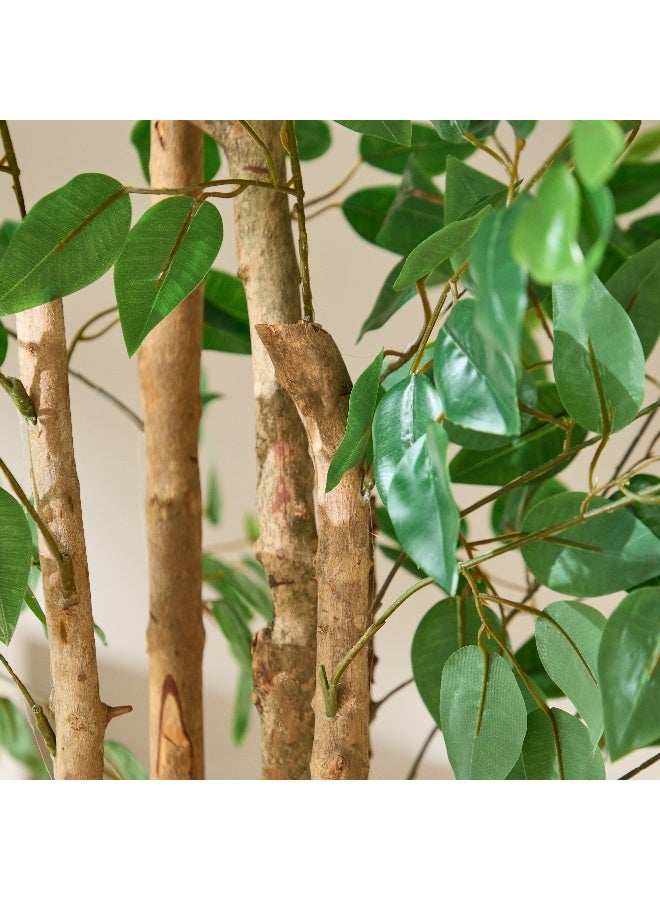 Home Box Teodora Artificial Double Trunk Ficus Tree - 170 cm  - Image 3