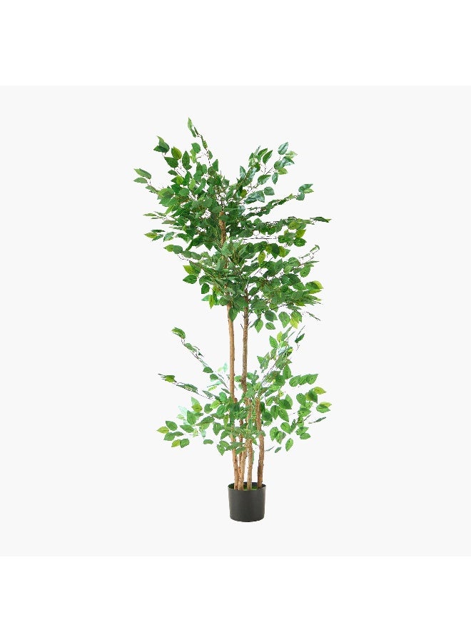 Home Box Teodora Artificial Double Trunk Ficus Tree - 170 cm  - Image 5