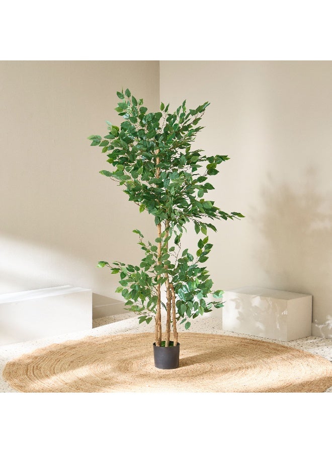 Home Box Teodora Artificial Double Trunk Ficus Tree - 170 cm  - Image 2