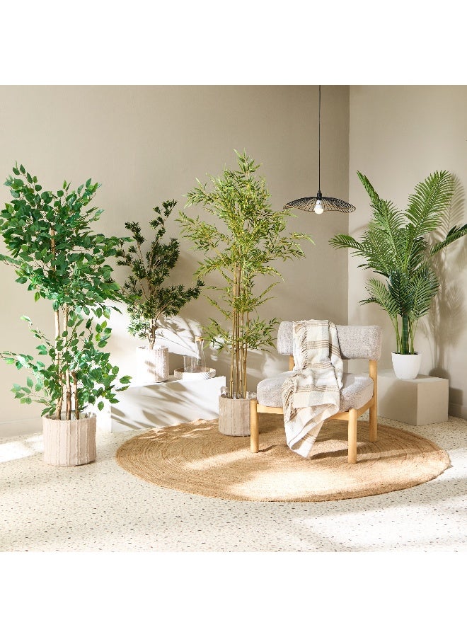 Home Box Teodora Artificial Double Trunk Ficus Tree - 170 cm  - Image 4