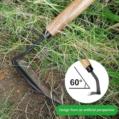 HASTHIP® Weeder Hand Tool, 32.5cm Steel Blade with Wooden Handle, Durable Handheld Weed Remover for Lawn, Portable Weed Puller, Flower Bed & Soil Cultivation - Image 4