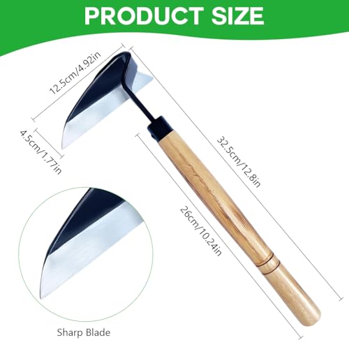 HASTHIP® Weeder Hand Tool, 32.5cm Steel Blade with Wooden Handle, Durable Handheld Weed Remover for Lawn, Portable Weed Puller, Flower Bed & Soil Cultivation - Image 2