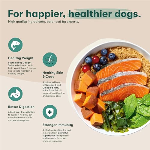 Jinx Premium Dry Dog Food, for All Life-Stages - Real Salmon, Brown Rice & Sweet Potato Kibble with Superfoods for Immune Support & Probiotics for Digestive Support - No Fillers – 4lb - Image 3