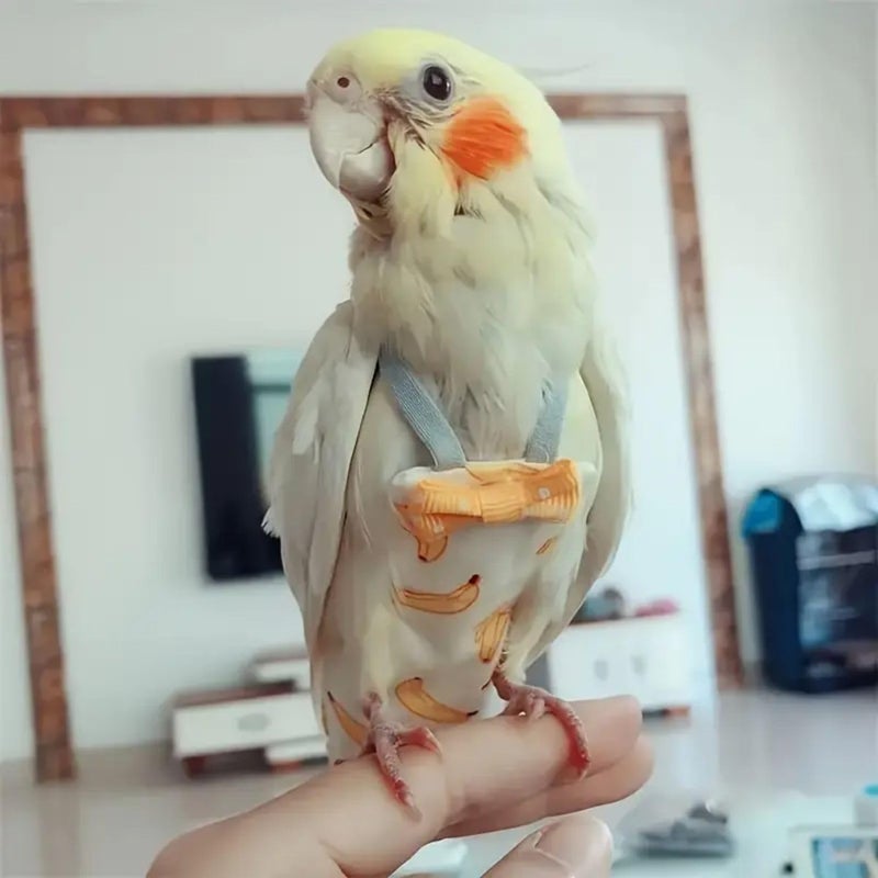 VAYINATO ® 2 قطع (موز) حفاضات قابلة للتعديل للطيور للببغاء، البادجي، كونور الشمس، اللوريات والطيور الصغيرة | قماش ناعم وقابل للتنفس، ملاءمة آمنة للطيران والاستخدام على الأرض | نظافة الطيور سهلة التنظيف - Image 3