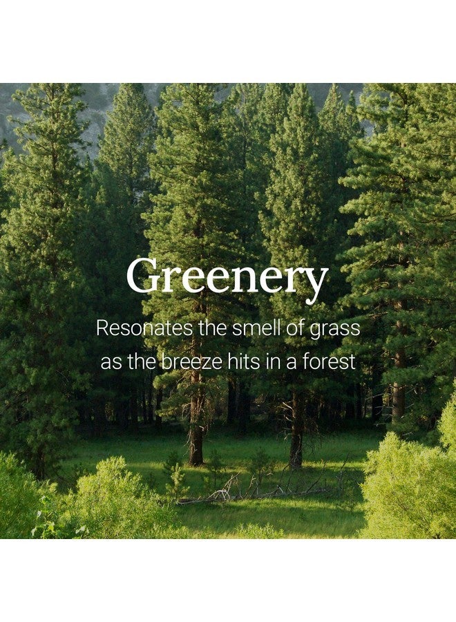 فروديا كريم اليدين الأساسي من فروديا ري: بروست جرينري | مرطب للعناية بالبشرة ومنتجات التجميل الكورية للنساء والرجال | منتجات العناية بالبشرة للجسم بحجم السفر كريم اليدين للبشرة الجافة 1.76 أونصة سائلة - Image 4