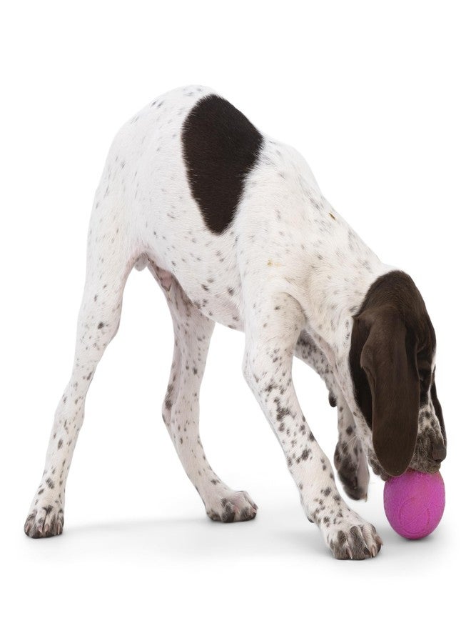 ويست باو لعبة جلب الكرة للكلاب من ويست باو باوندر - ألعاب نطاطة للكلاب، للجلب، والتقاط الكرة، والمضغ، واللعب - كرات عائمة وقابلة لإعادة التدوير - عبوة من قطعتين باللون الوردي الفاتح/الأزرق الفيروزي - Image 4