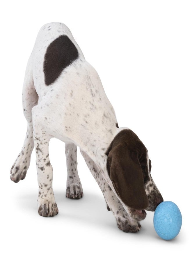 ويست باو لعبة جلب الكرة للكلاب من ويست باو باوندر - ألعاب نطاطة للكلاب، للجلب، والتقاط الكرة، والمضغ، واللعب - كرات عائمة وقابلة لإعادة التدوير - عبوة من قطعتين باللون الوردي الفاتح/الأزرق الفيروزي - Image 5