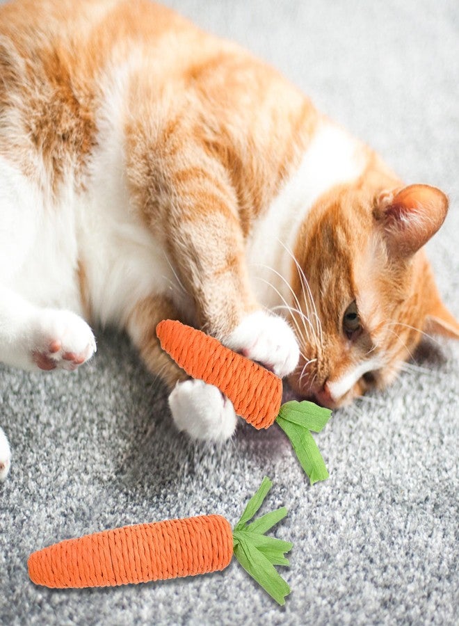 Andiker 2PCS Cat Chew Toys, 1 Small&1 Large Carrot Shapes Cat Rope Toys with Sounding Parcels Interactive Cat Toys for Indoor Cats and Kittens for Biting Chewing Keeping Teeth Clean - Image 5