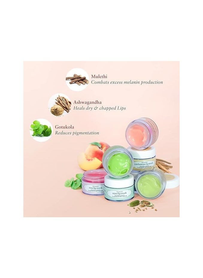 Just Herbs - Just Herbs Ayurvedic & Vegan Peach Lip Scrub & Lip Mask duo pack for Chapped Pigmented & Dark lips 30gm - Image 1