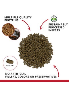 Bug Bites Cichlid Fish Food, Pellets For Medium To Large Sized Fish, 3.53 Oz., A6581 - pzsku/Z1B53BD1D59A1F895FB8CZ/45/_/1726220046/0b2d82d2-6f1a-4270-aa9c-b2cc84afb146