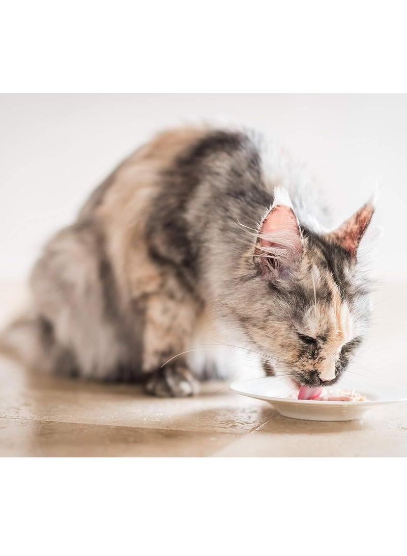 Schesir 14Pc Tuna With Chicken Fillets Adult Cat Wet Food 85g - Image 3