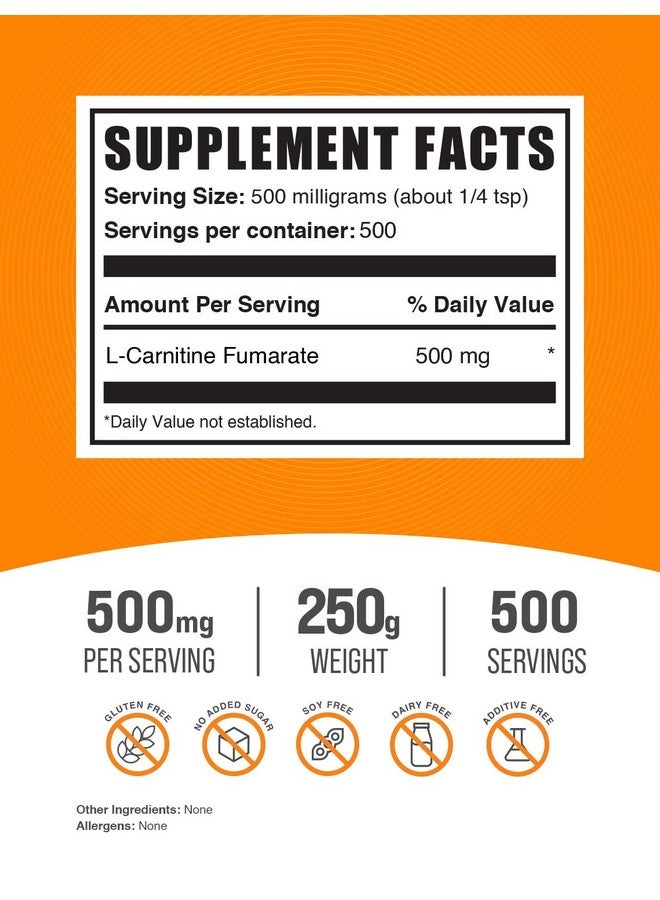 بالك سابلمنتس مسحوق فومارات إل-كارنيتين من BulkSupplements.com - مكمل الكارنيتين، مسحوق الكارنيتين، إل-كارنيتين 500 مجم - خالٍ من الجلوتين، 500 مجم لكل وجبة، خالٍ من الجلوتين، 250 جم (8.8 أونصة) (عبوة واحدة) - Image 2