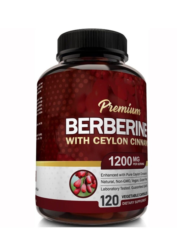 Premium Berberine Hcl 1200Mg, 120 Capsules - Plus Pure True Ceylon Cinnamon - Berberine Hci Root Supplement Pills - Image 3