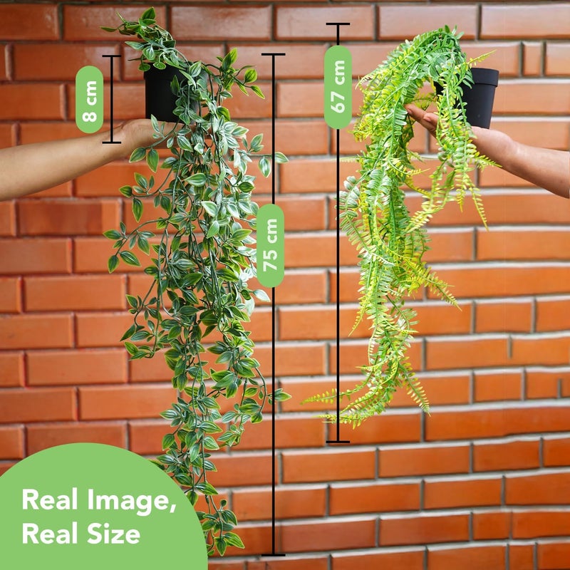 Ekhasa Pothos Hanging Artificial Plants with Pot (Set of 2) | Persian Rattan Artificial Hanging Plants for Home Decor | Falling Creepers Climbers Green Fake Vines with Hanging Pots (Mandala, Fern) - Image 3
