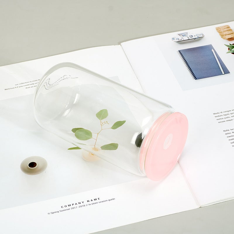 Mason Cup Sublimation Single Layer Thickened Transparent High Borosilicate Color Cover Glass Water Cup Bamboo Cover Straw Outdoor - Image 1