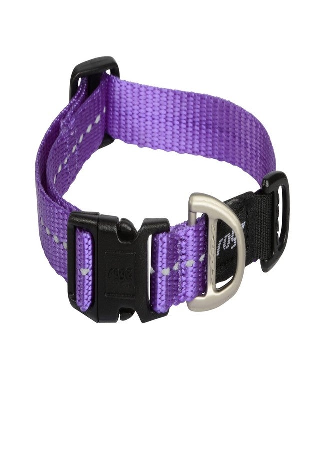 Rogz Utility Small 3/8-Inch Reflective Nitelife Dog Collar, Purple - Image 1