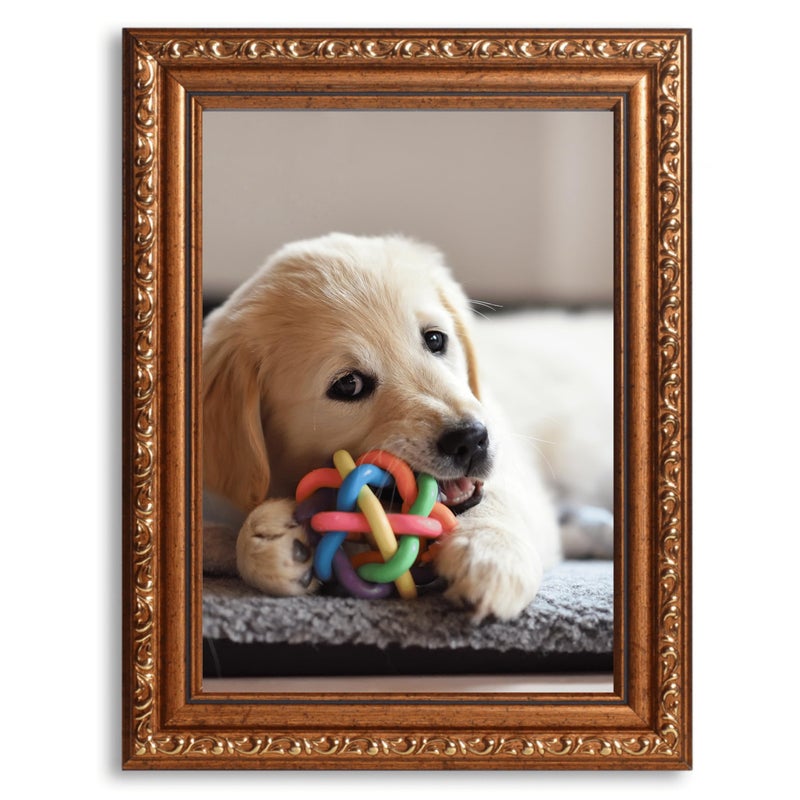 VictoR Picture Frame Chagall 6x8 Brown Gold - Vintage Picture Frames with Shutterproof Acrylic Glass - 6 x 8 Photo Frame - Brown Picture Frames - Antique - Baroque - Image 3