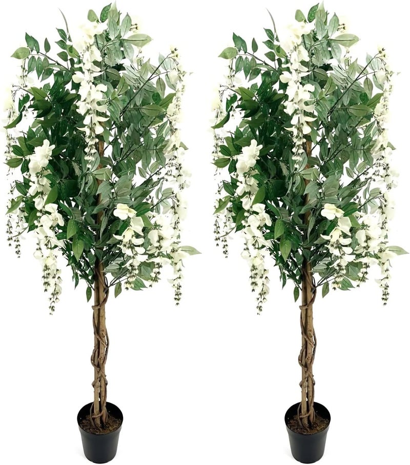 AMERIQUE AMERIQUE White Pair Gorgeous  Dense 5 Feet Artificial Silk Wisteria Trees with Flowers with Nursery Pots Feel Real Technology 5  - Image 1